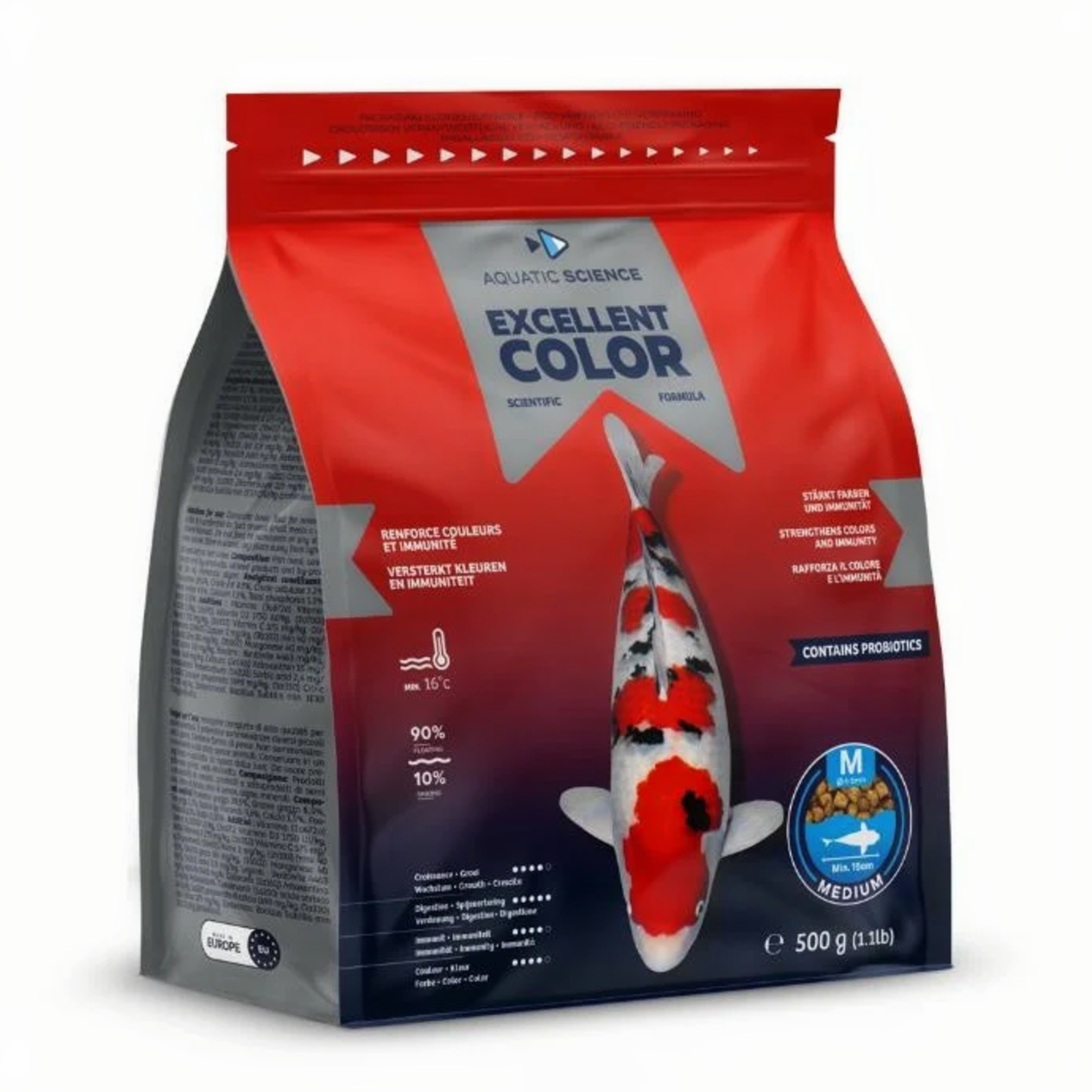 Animal, Carp, Fish, Sea Life, Koi