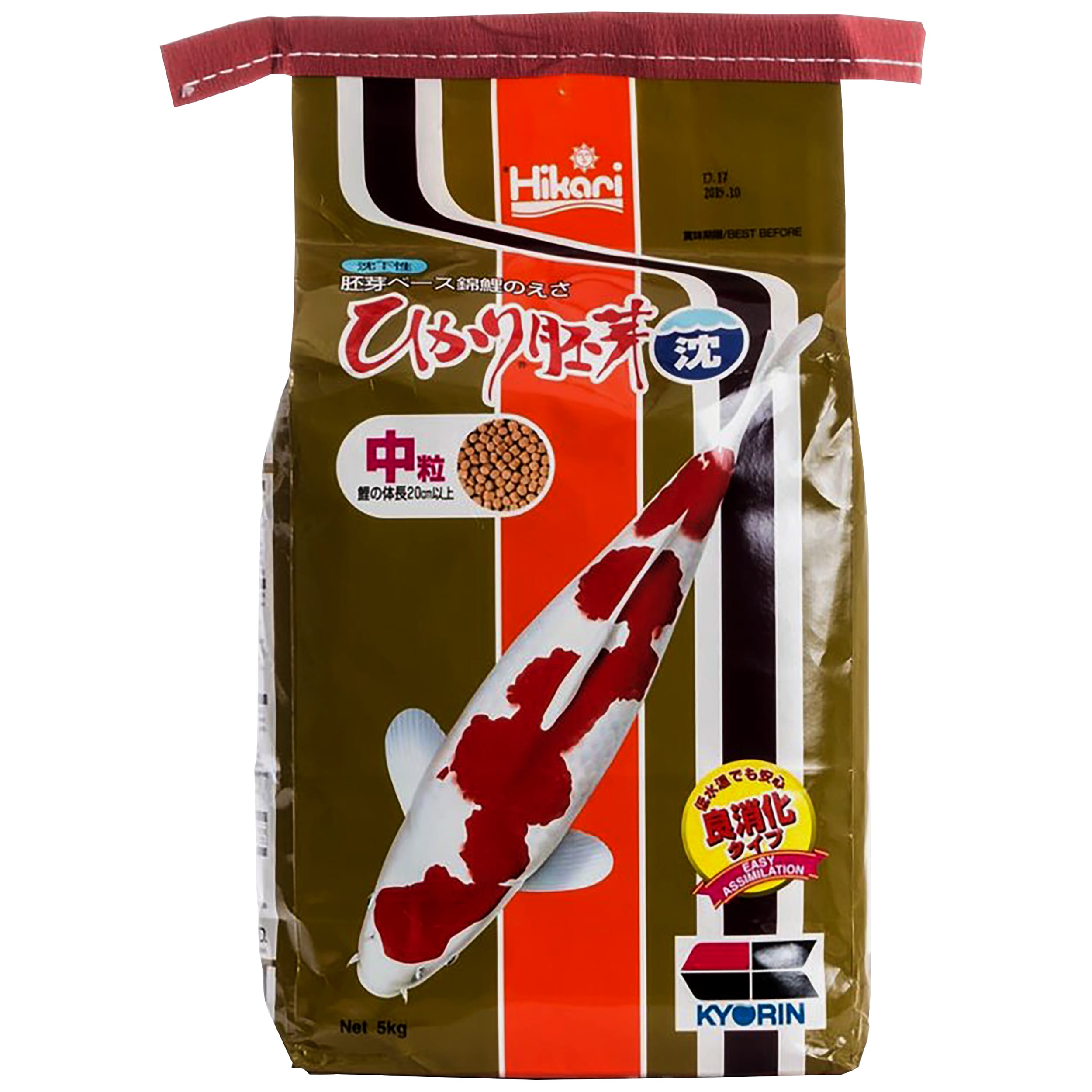 Animal, Carp, Fish, Sea Life, Koi