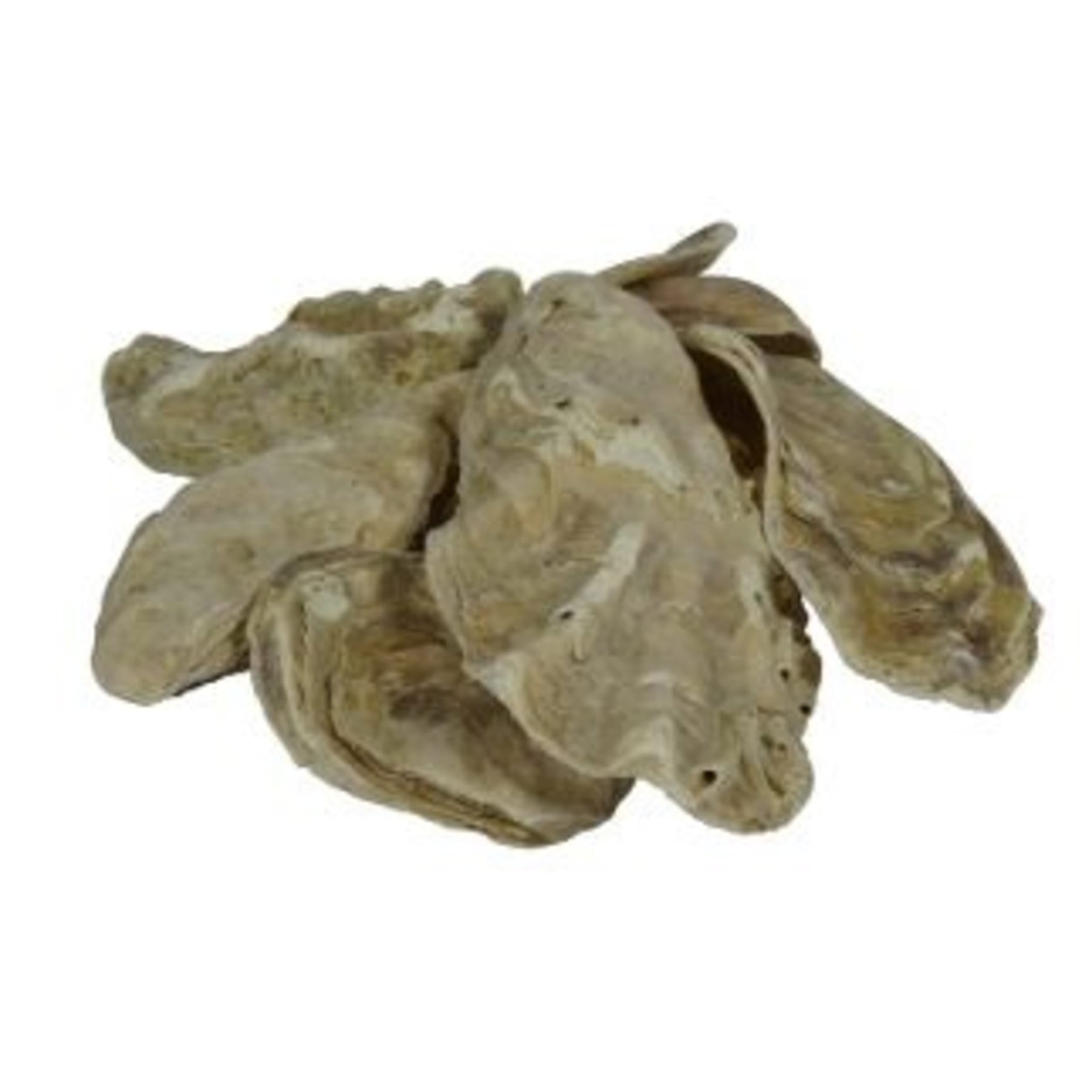 Animal, Sea Life, Food, Seafood