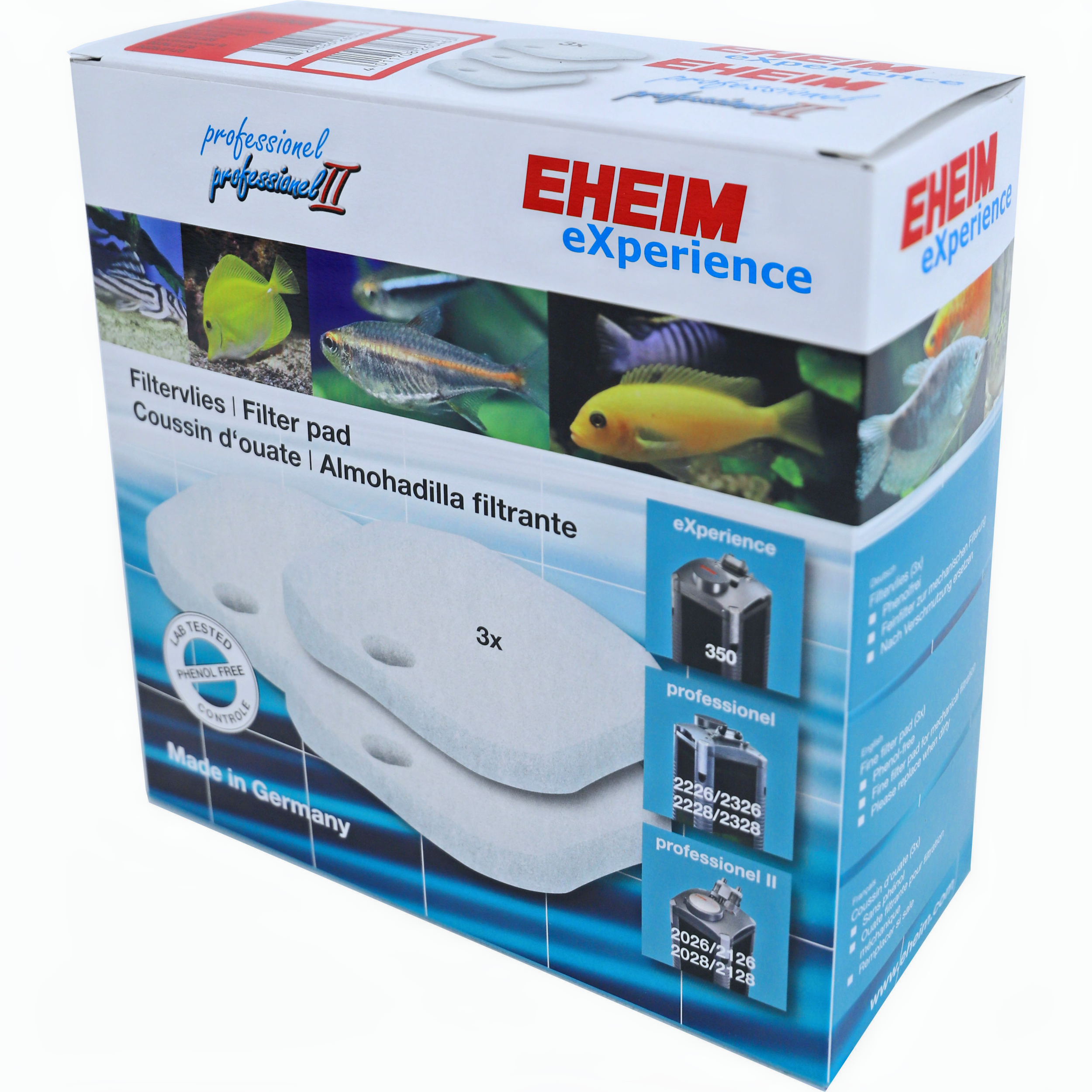 Animal, Fish, Sea Life