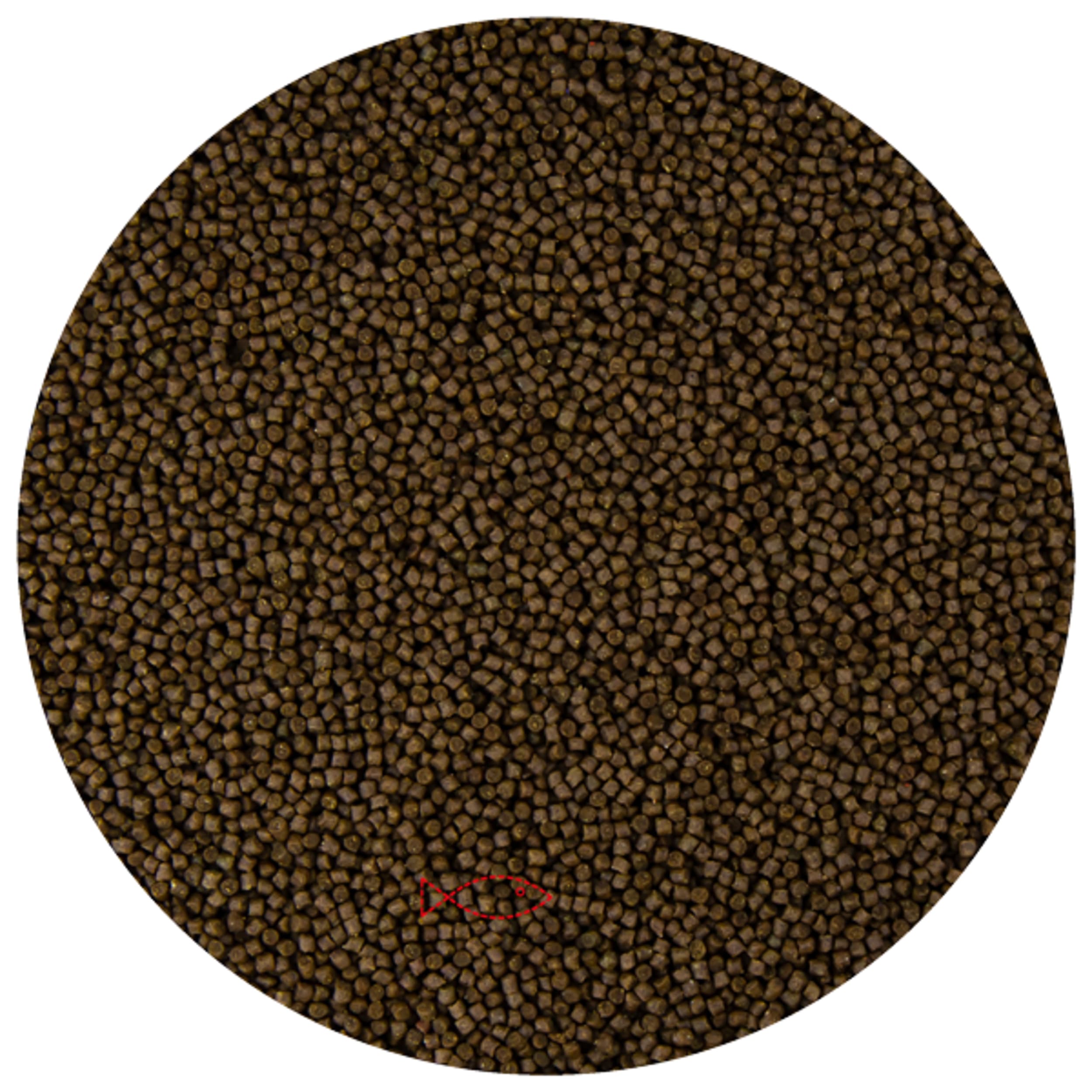 Food, Mustard, Home Decor