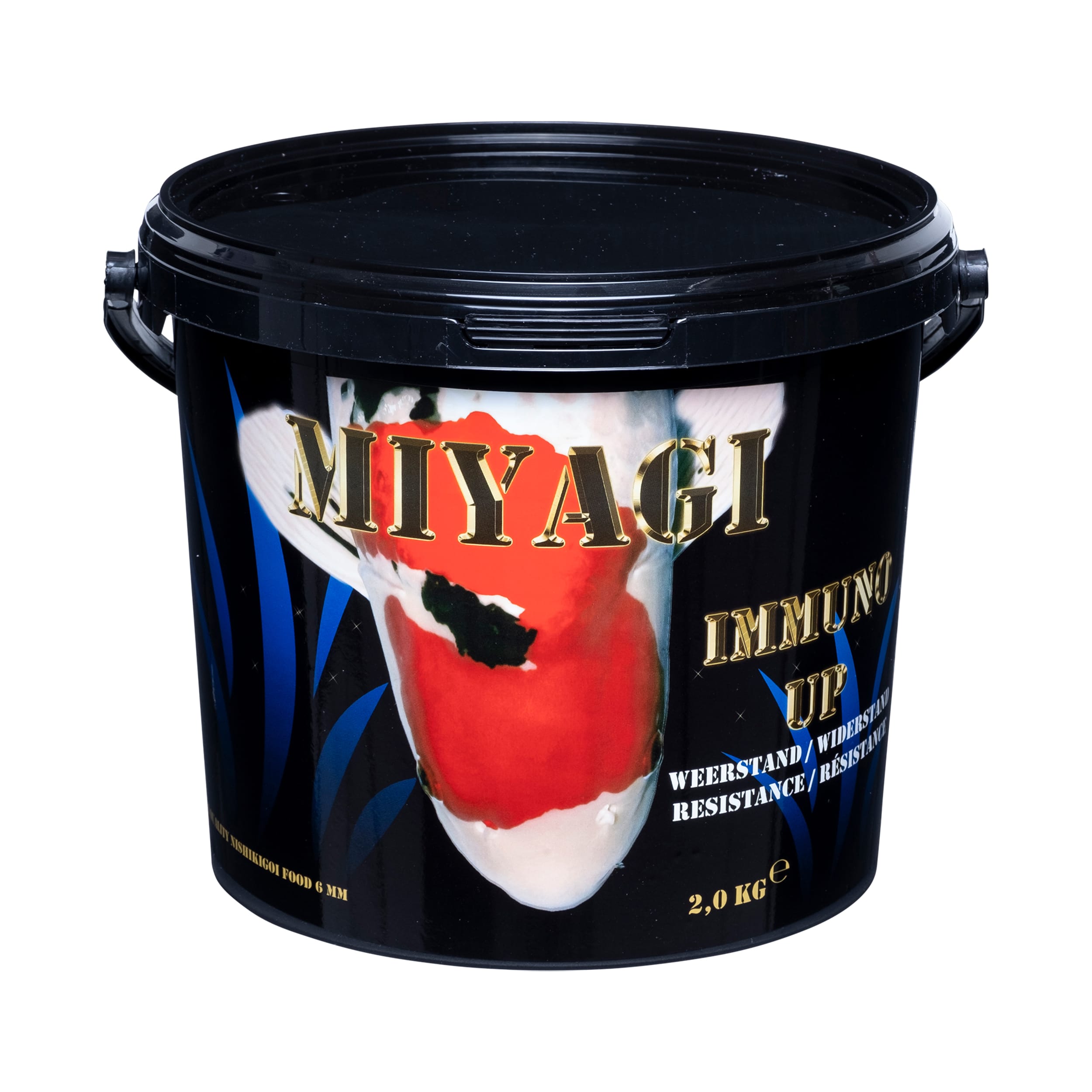 Bottle, Shaker, Paint Container