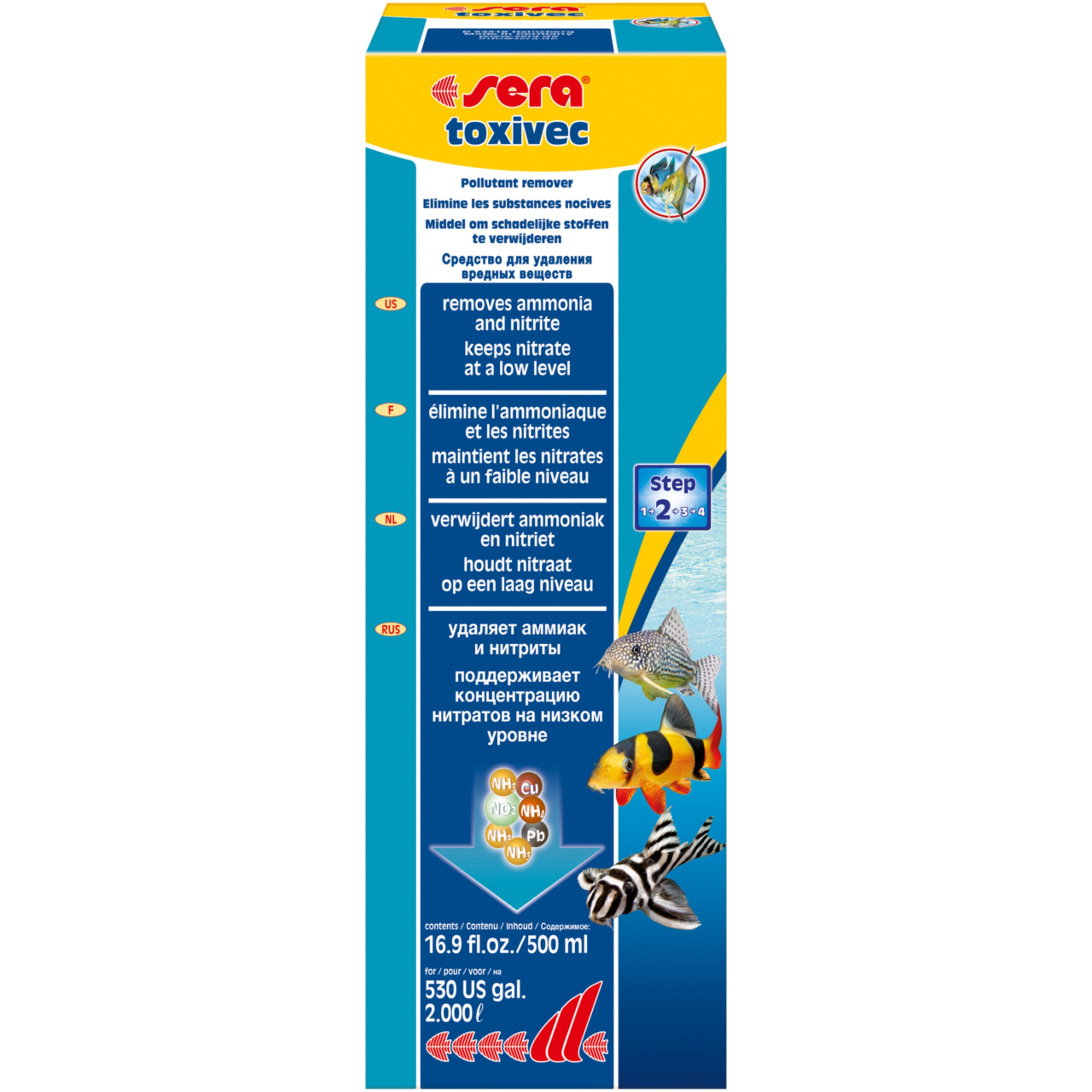 Animal, Fish, Sea Life