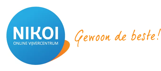 Zur Startseite gehen